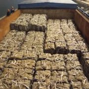 CEM II 32.5N - ATZ Portland Cement reasonable price 50kg bag Jumbo bags and Can make OEM brand Used for Mansonry